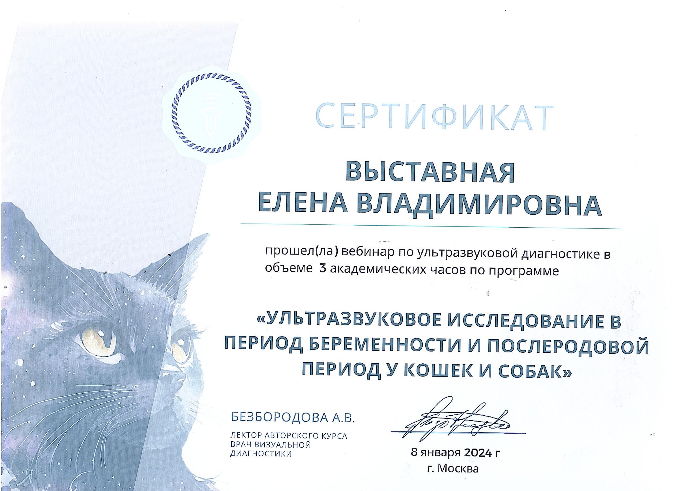 Сертификат Выставная Елена Владимировна